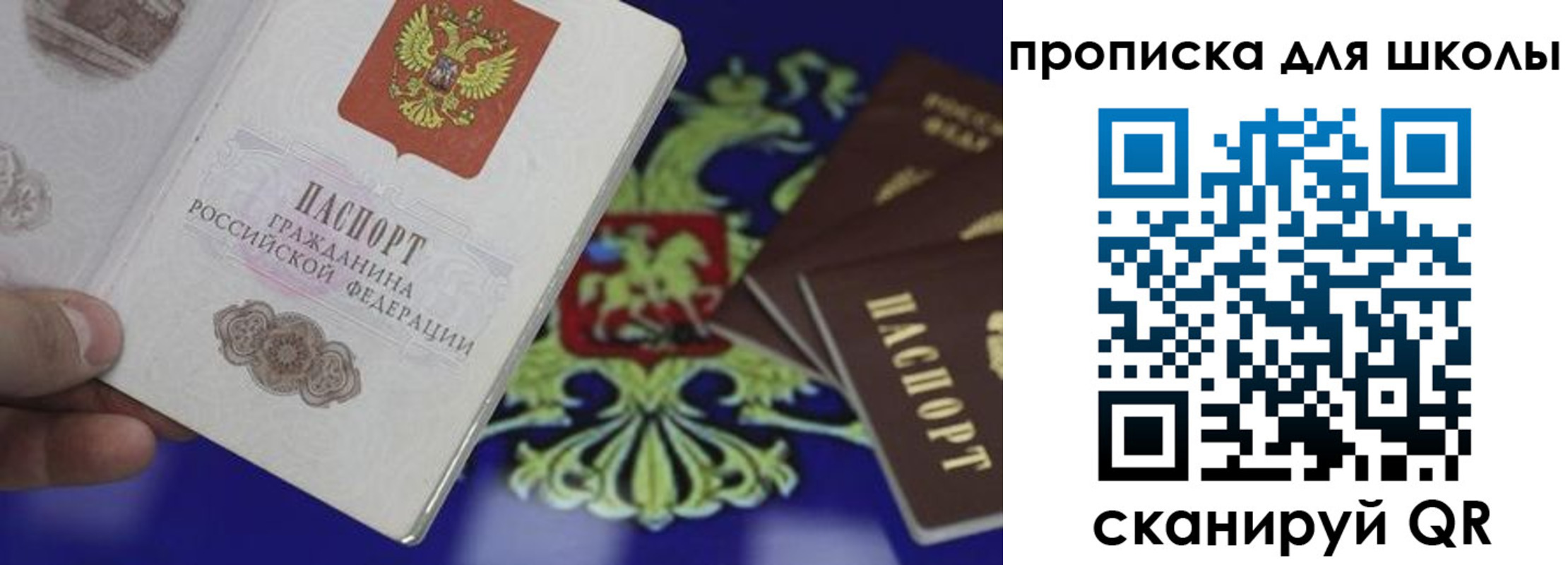прописка паспорт в Павловске